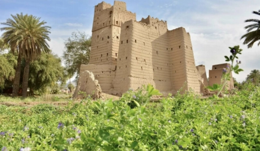 Al Qabil Village: Najran’s Living Heritage of Mud Homes and Palm Groves